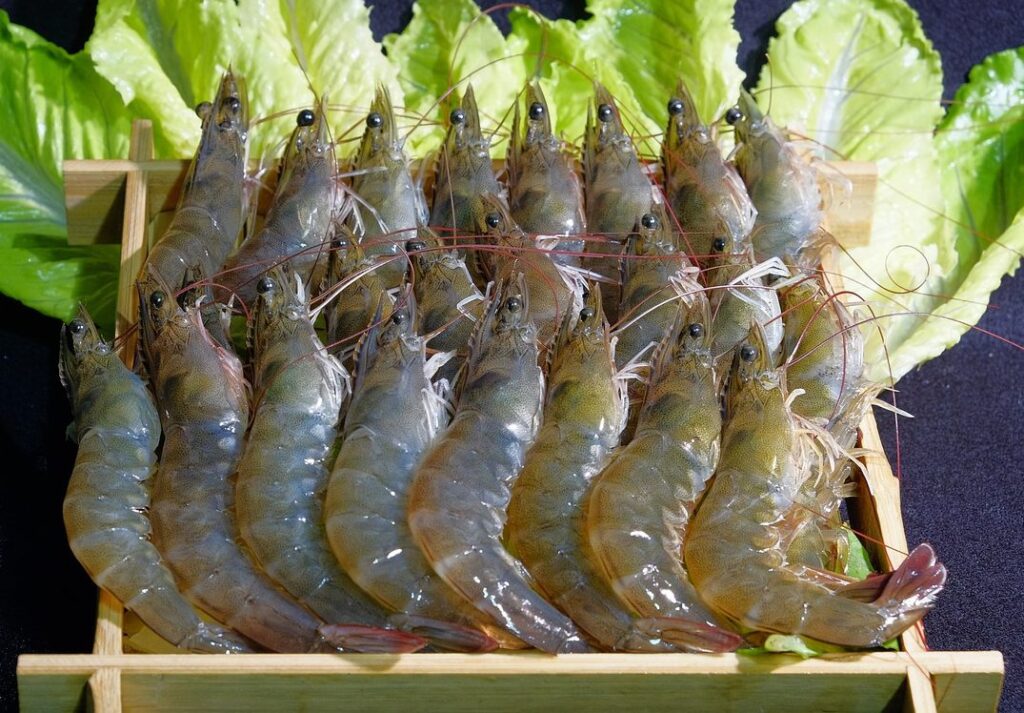 langostinos